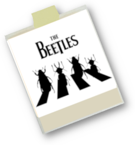 April 2026 - The Beetles
